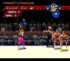 WWF Wrestlemania Arcade Screenthot 2
